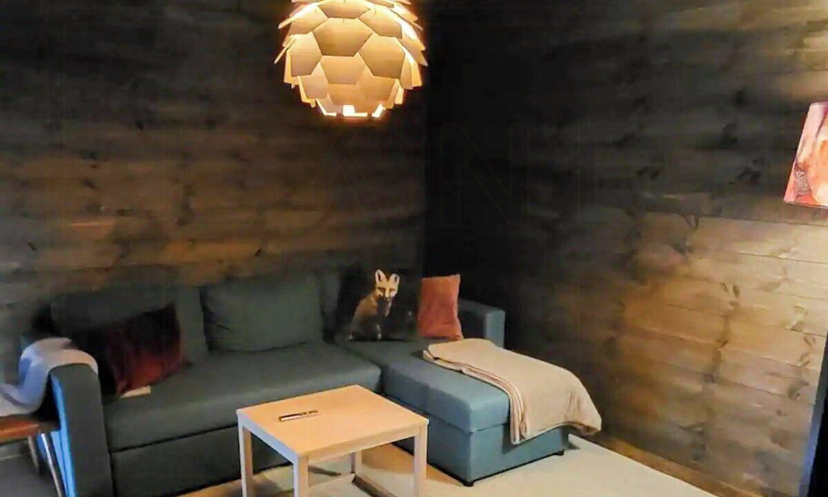 Photo of Livingroom in Fidjeland
