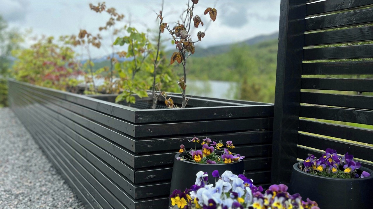 Photo of Outdoor in Sykkylven