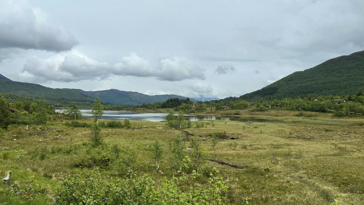 Photo of Others in Sykkylven