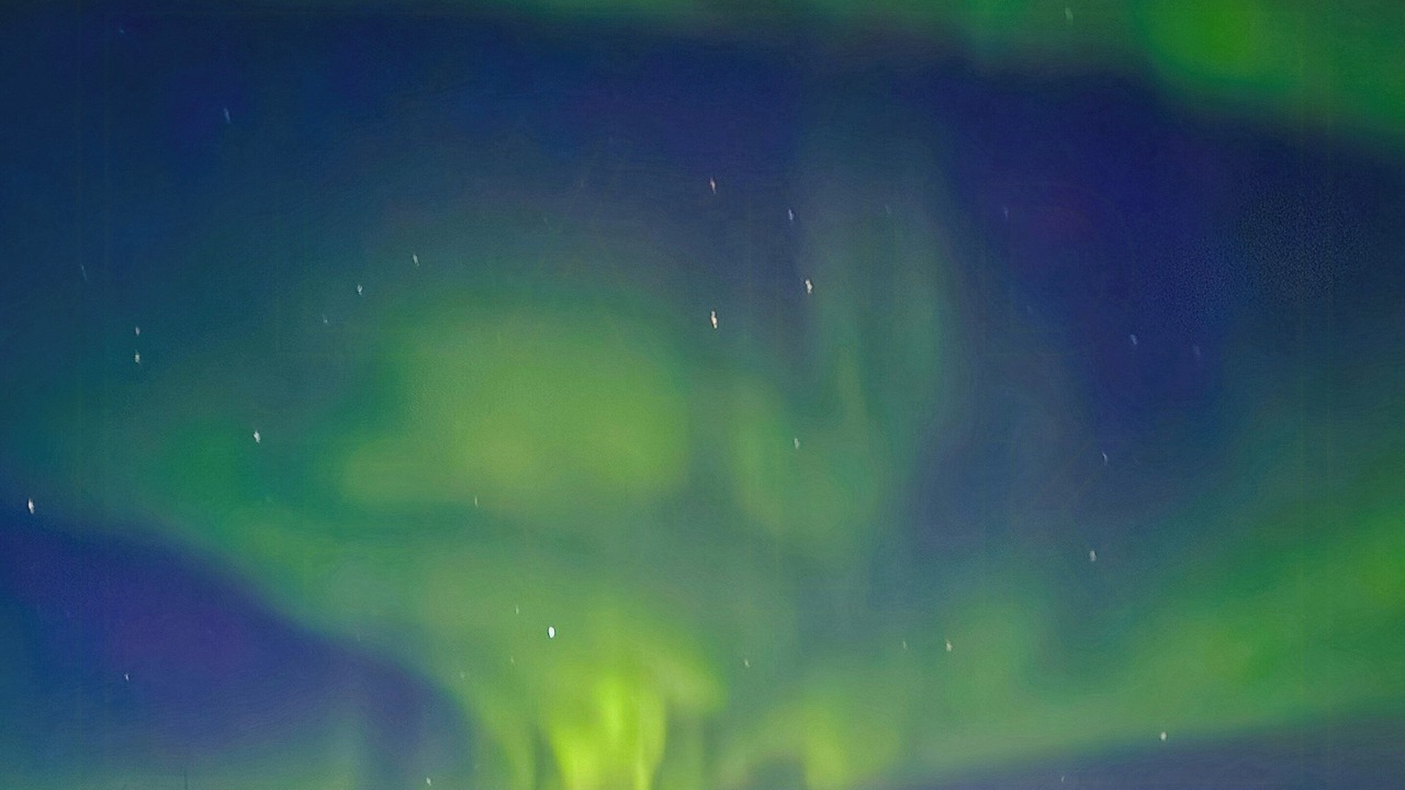 Photo of Others in South Varanger
