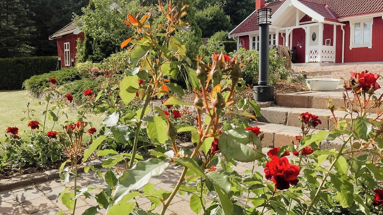Photo of Outdoor in Sande