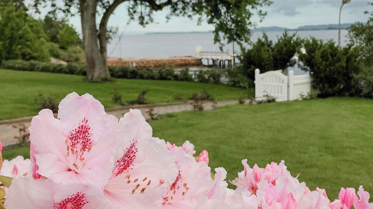 Photo of Outdoor in Sande