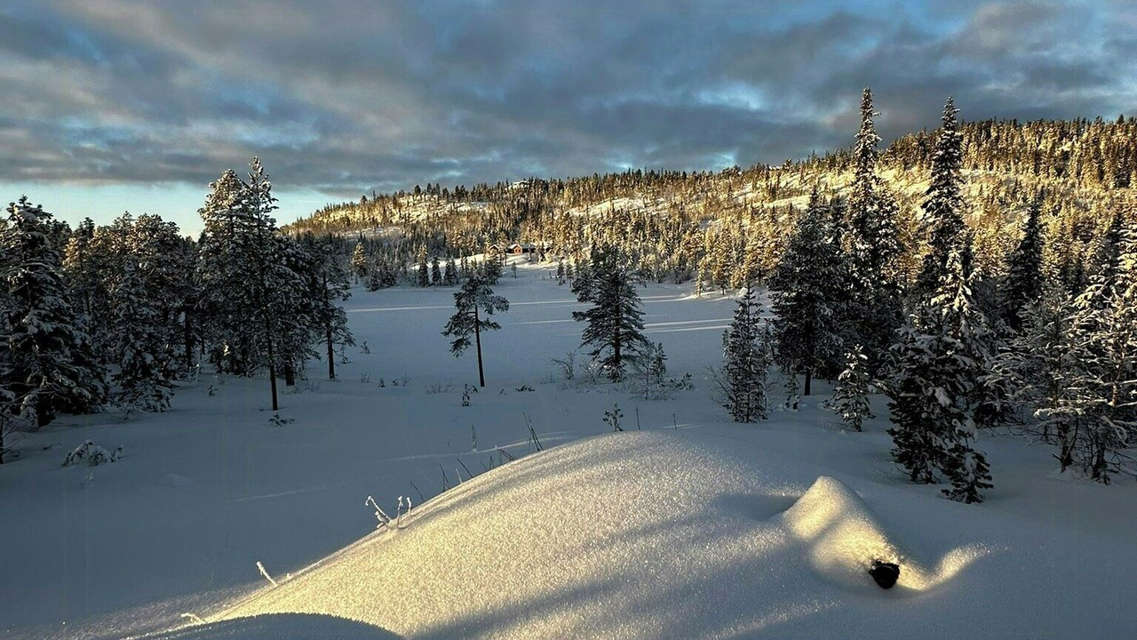 Photo of Others in Sigdal Municipality