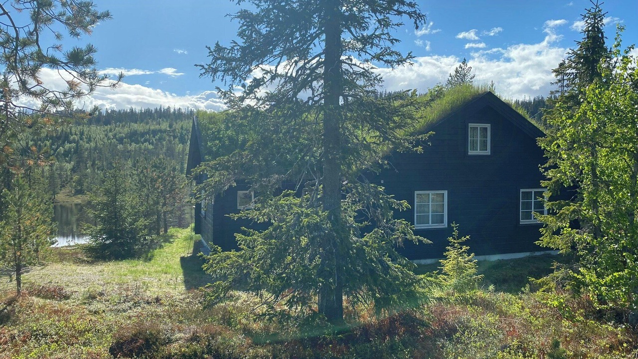 Photo of Outdoor in Sigdal Municipality