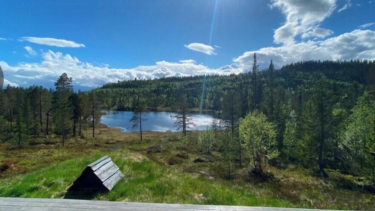 Photo of Others in Sigdal Municipality