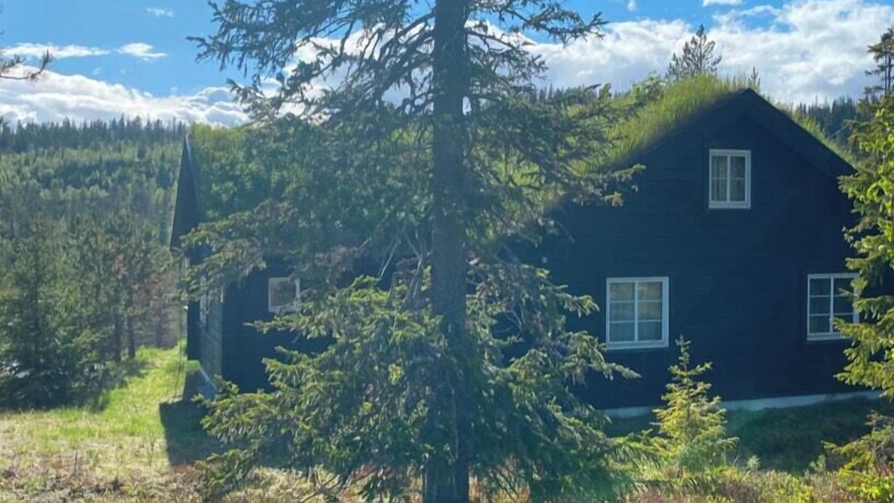 Photo of Outdoor in Sigdal Municipality