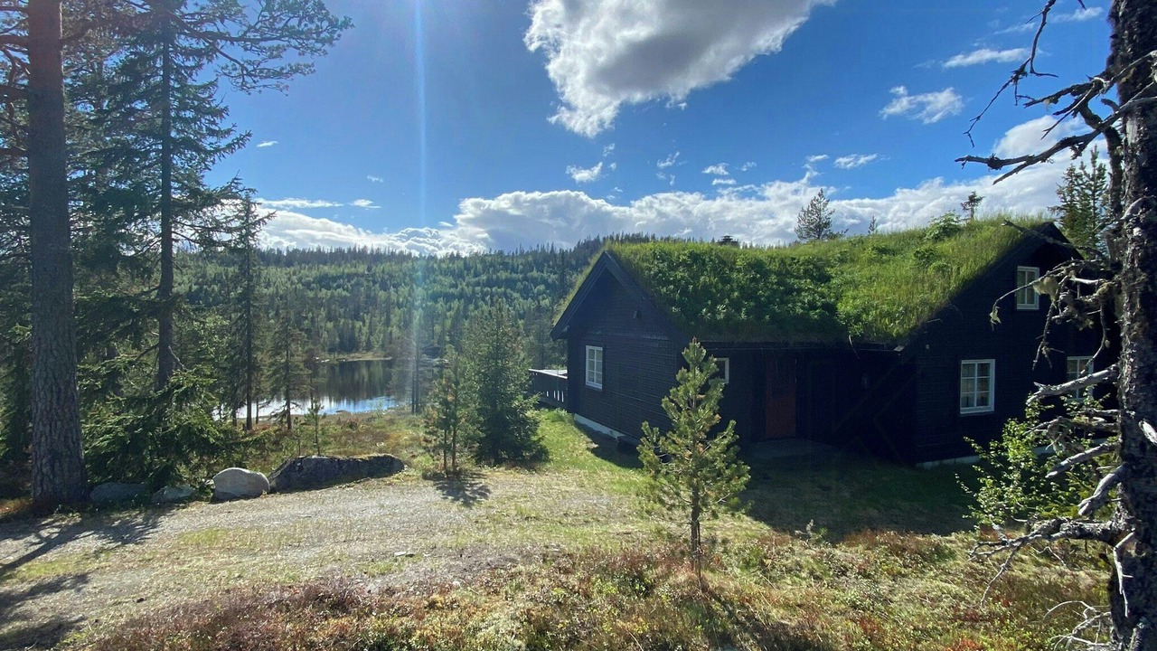 Photo of Outdoor in Sigdal Municipality