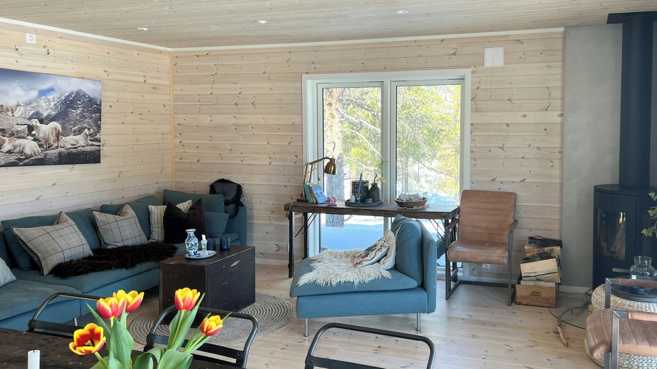 Photo of Livingroom in Vaga Municipality