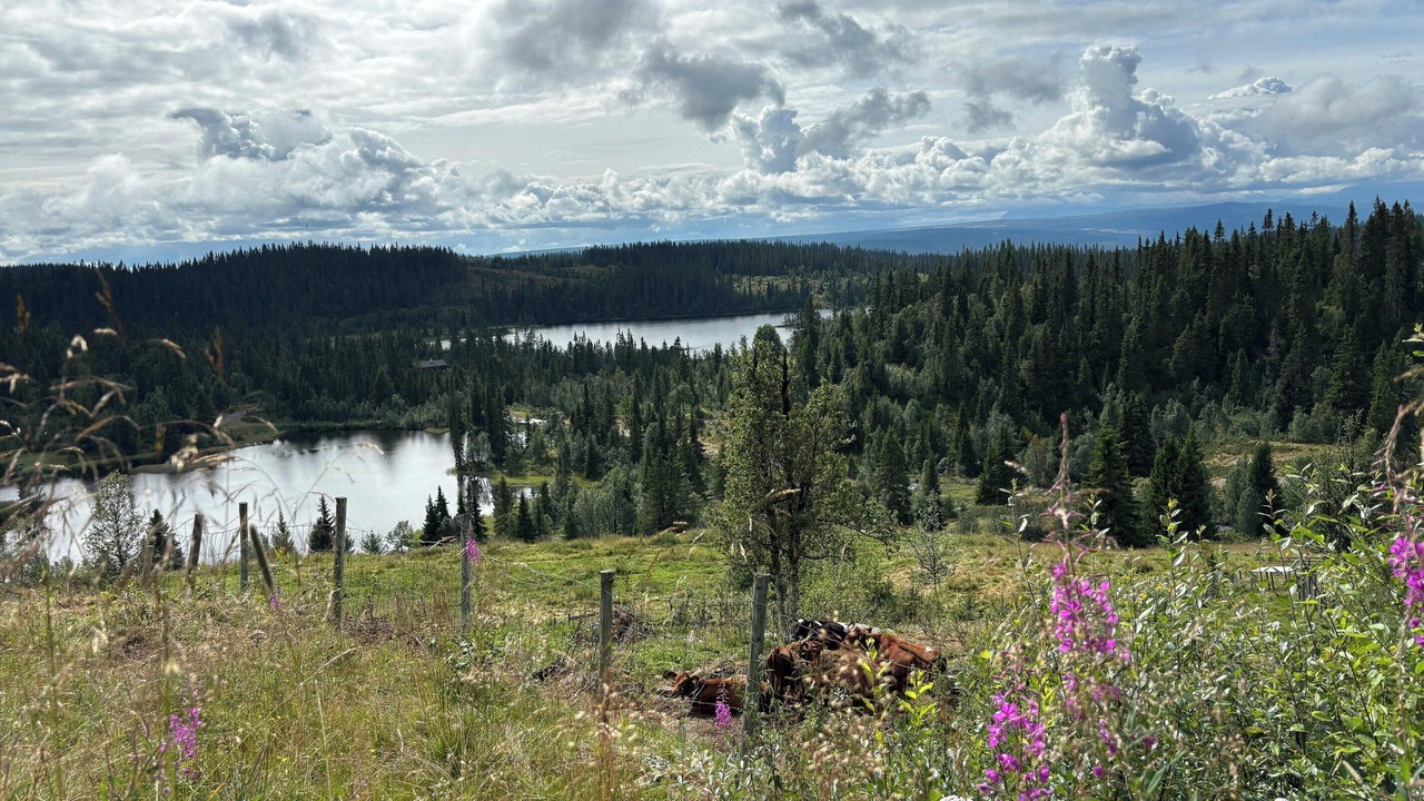 Photo of Others in Nord-Aurdal
