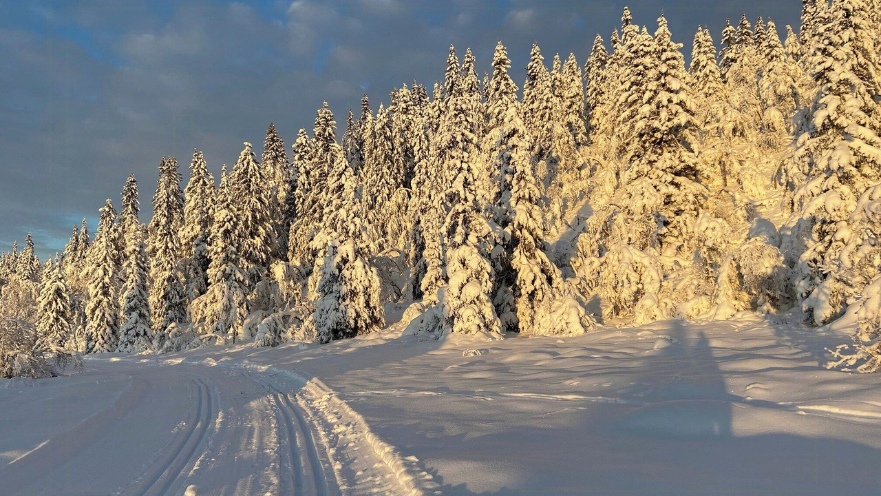 Photo of Others in Nord-Aurdal