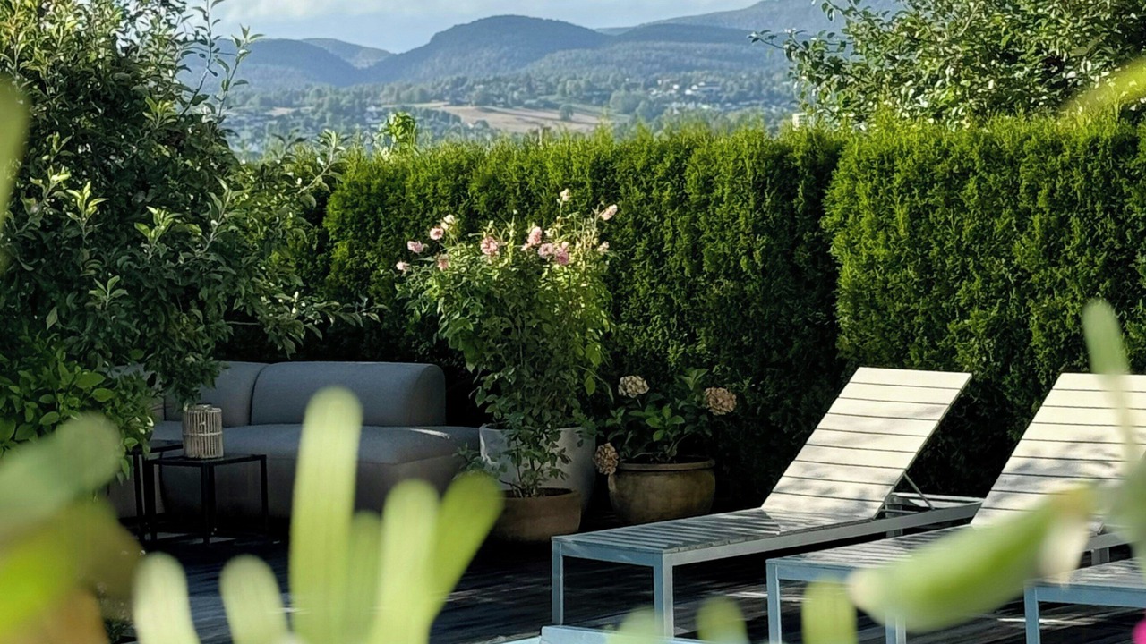 Photo of Outdoor in Skien