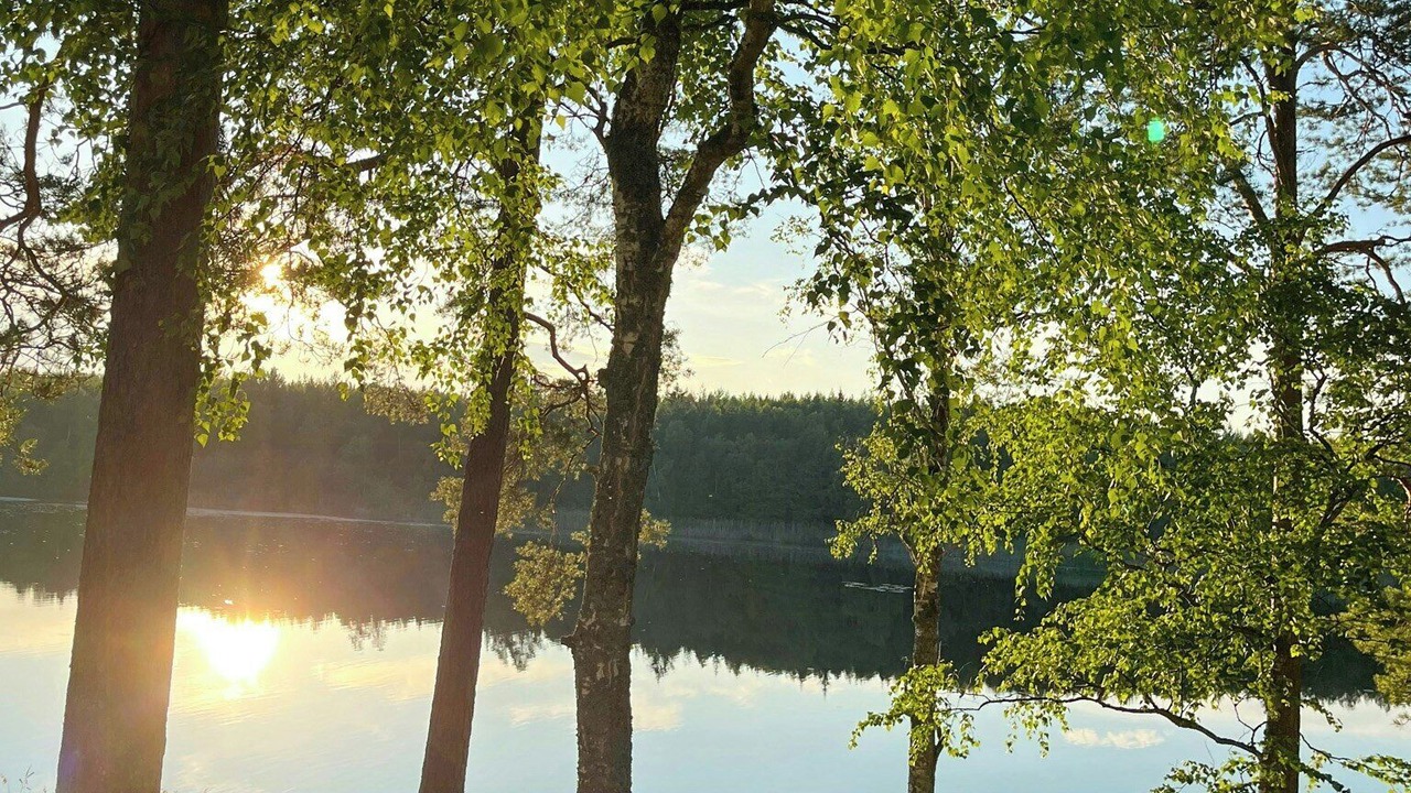 Photo of Others in Sodersvik