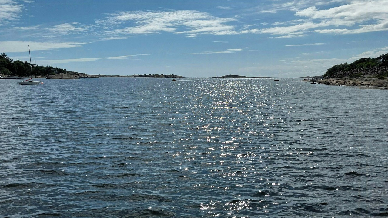 Photo of Others in Gressvik