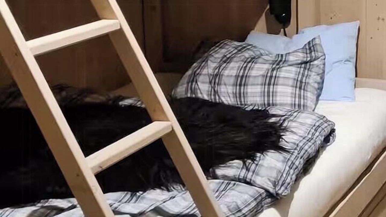 Photo of Bedroom in Vaga
