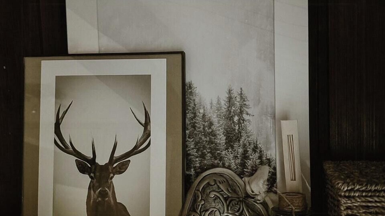 Photo of Others in Trysil