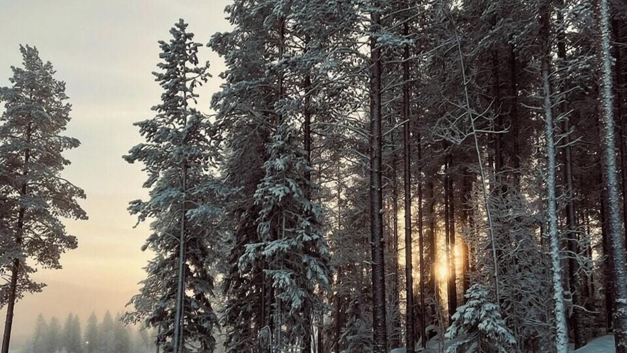 Photo of Others in Trysil
