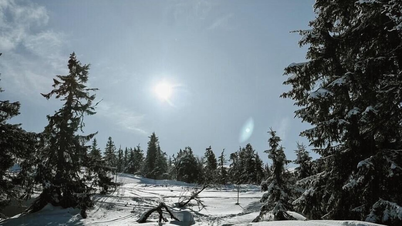Photo of Others in Trysil
