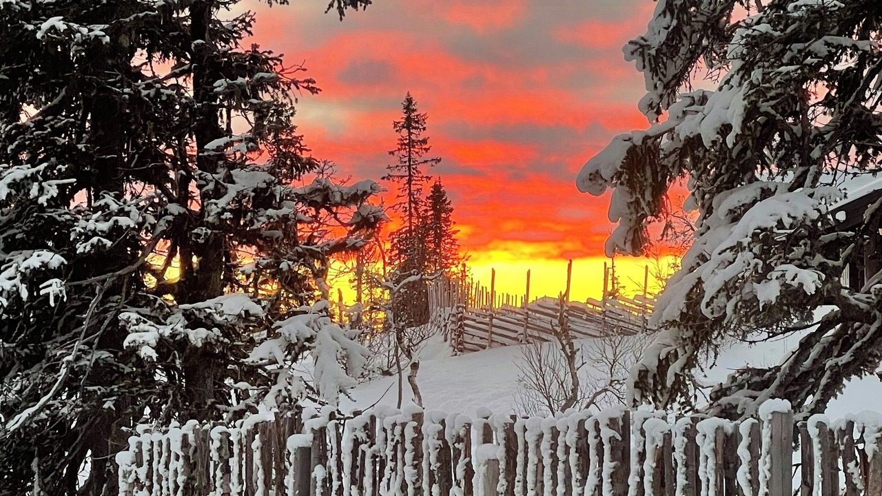 Photo of Outdoor in Rollag