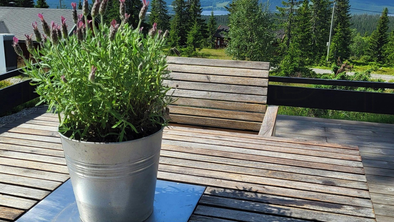 Photo of Patio Balcony in Sjusjoen