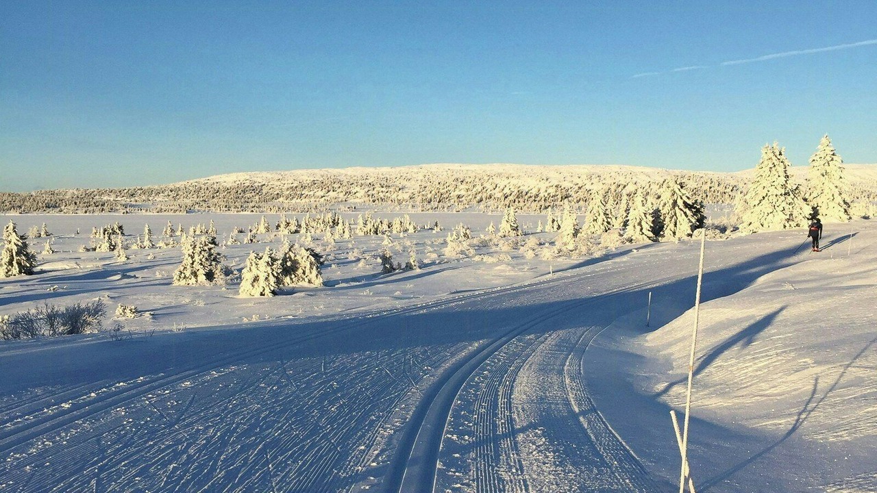 Photo of Others in Lillehammer