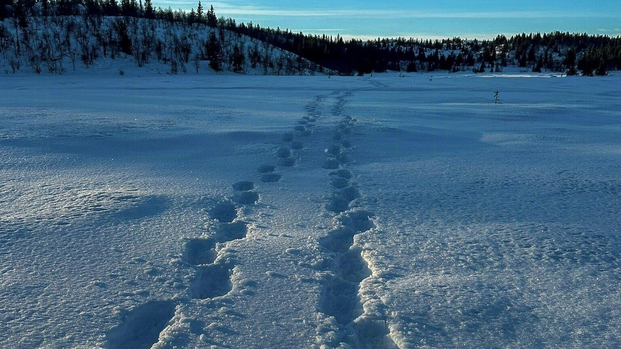 Photo of Others in Nord-Aurdal