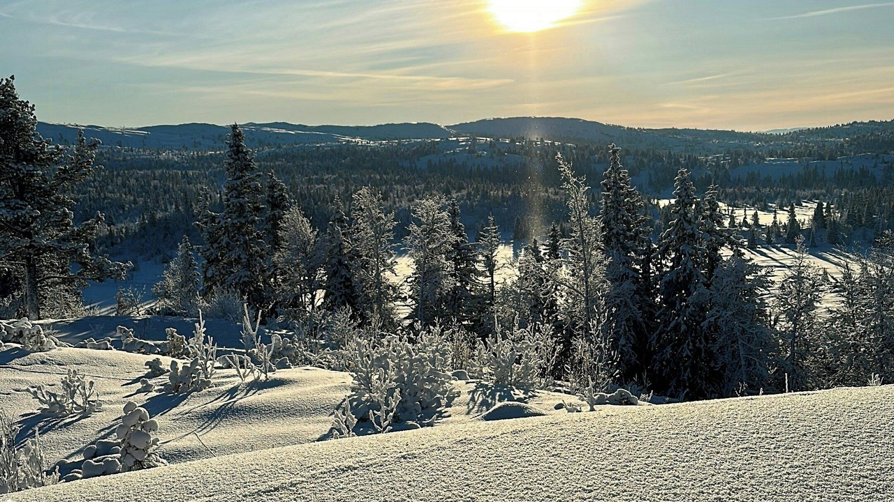 Photo of Others in Nord-Aurdal