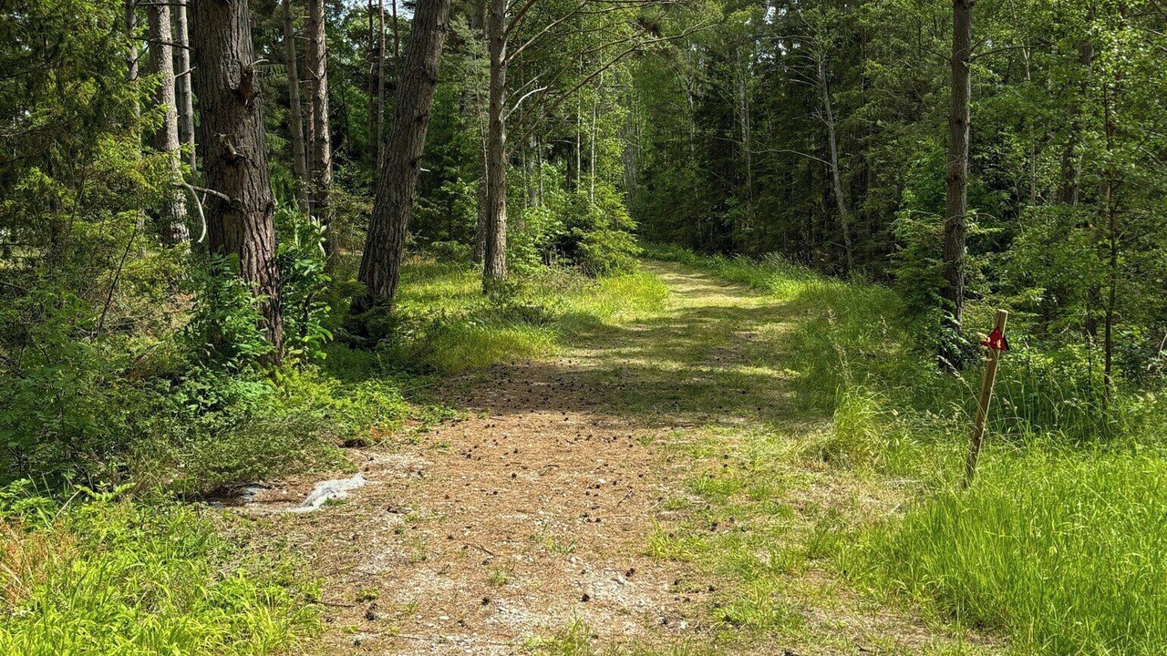Photo of Others in Larbro