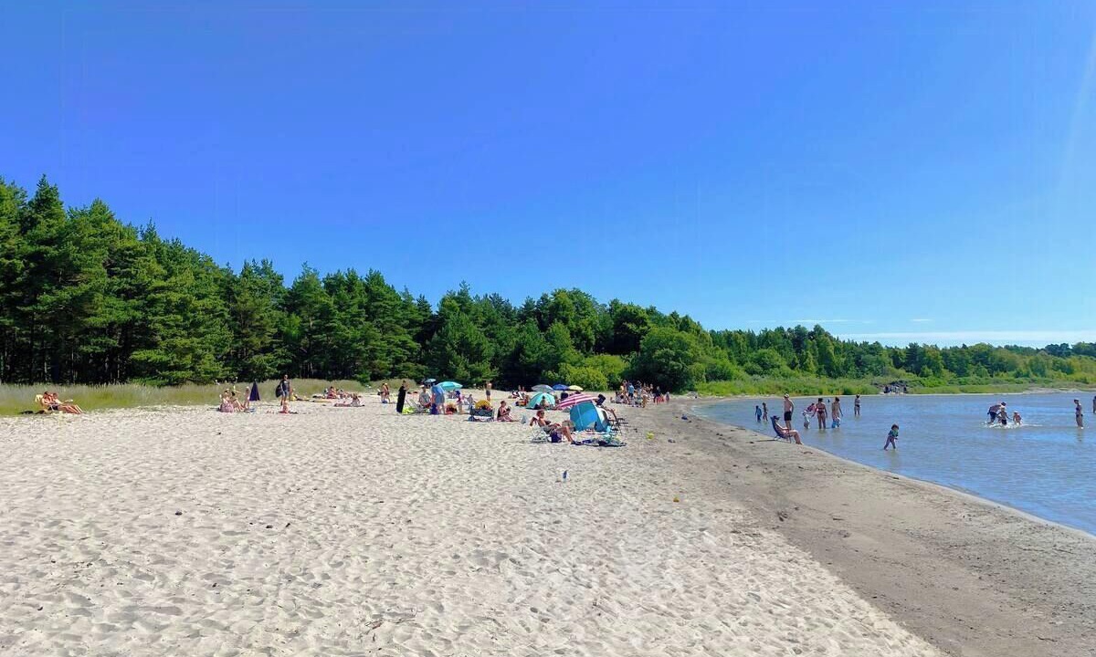 Photo of Others in Larbro