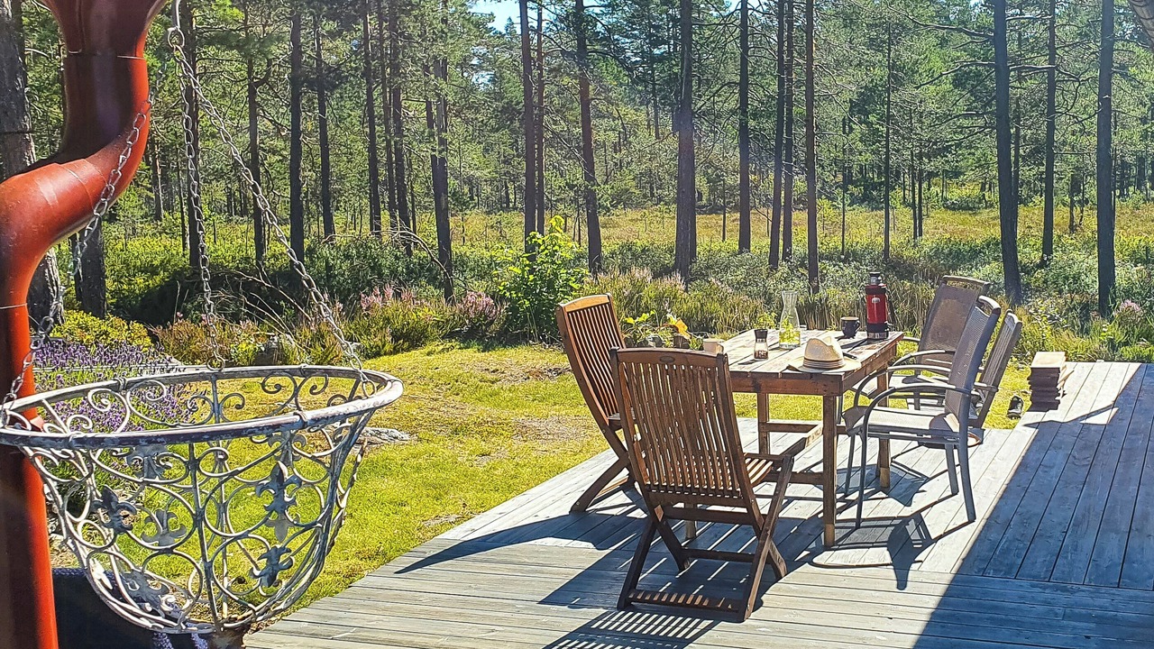 Photo of Outdoor in Vegarshei