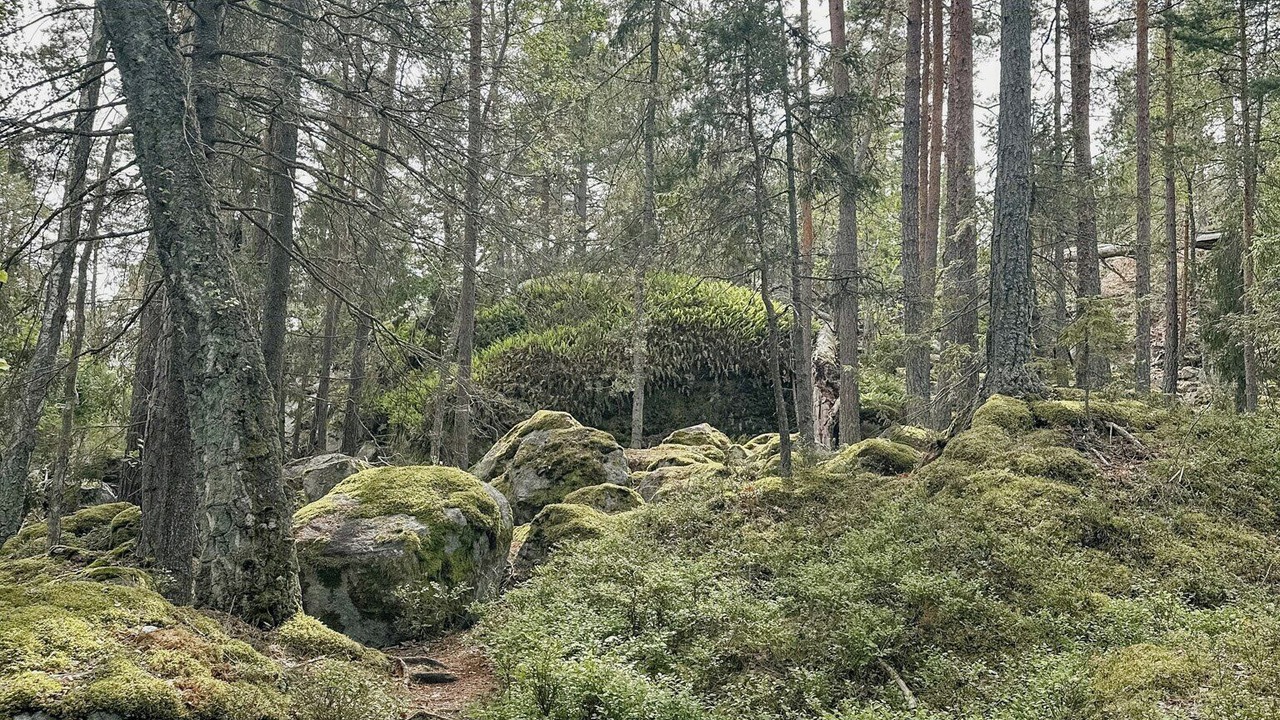 Photo of Others in Saltsjobaden