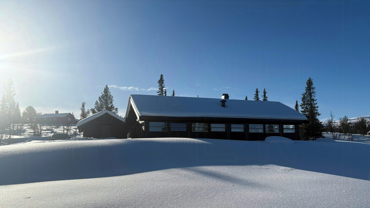 Photo of Outdoor in Al Municipality