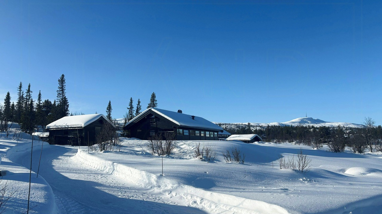 Photo of Outdoor in Al Municipality