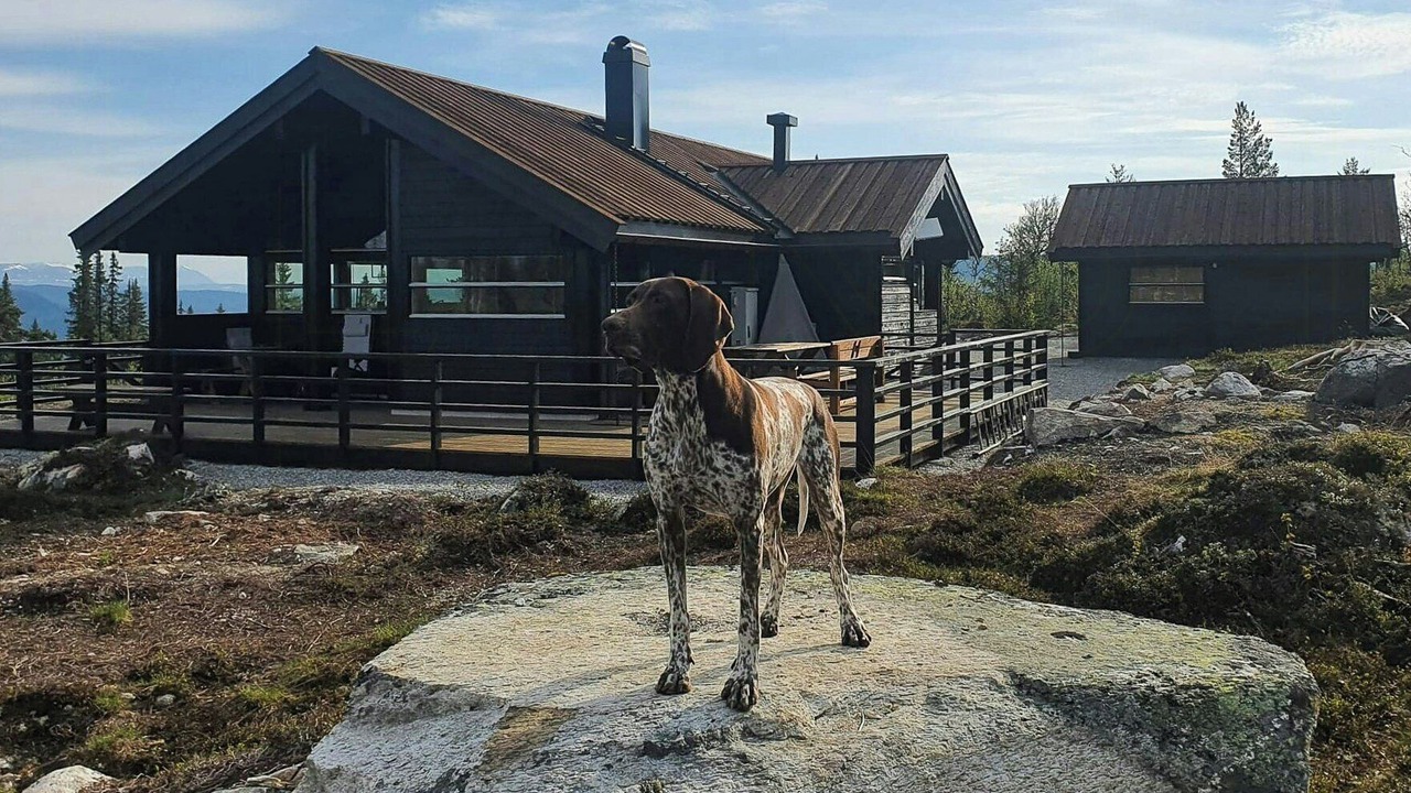 Photo of Outdoor in Al Municipality
