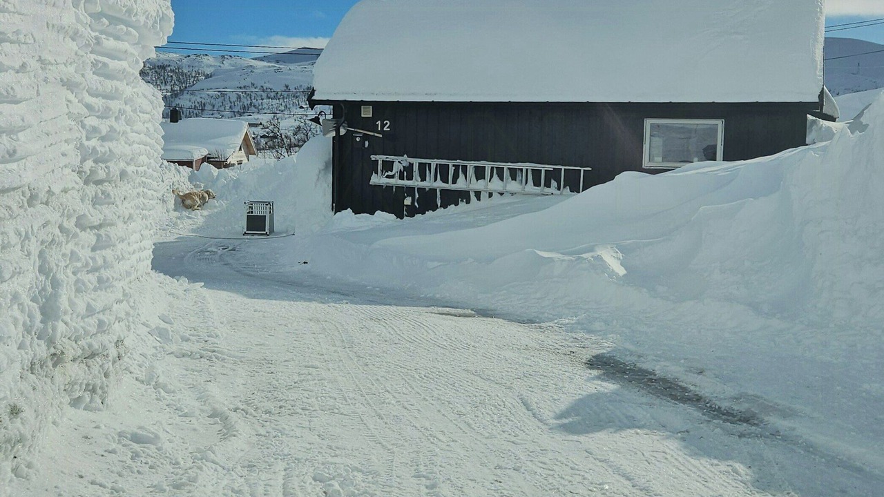 Photo of Outdoor in Ustaoset