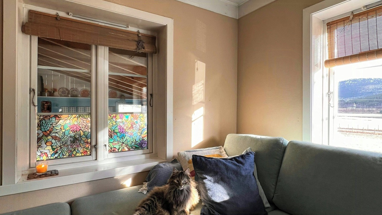 Photo of Livingroom in Valle