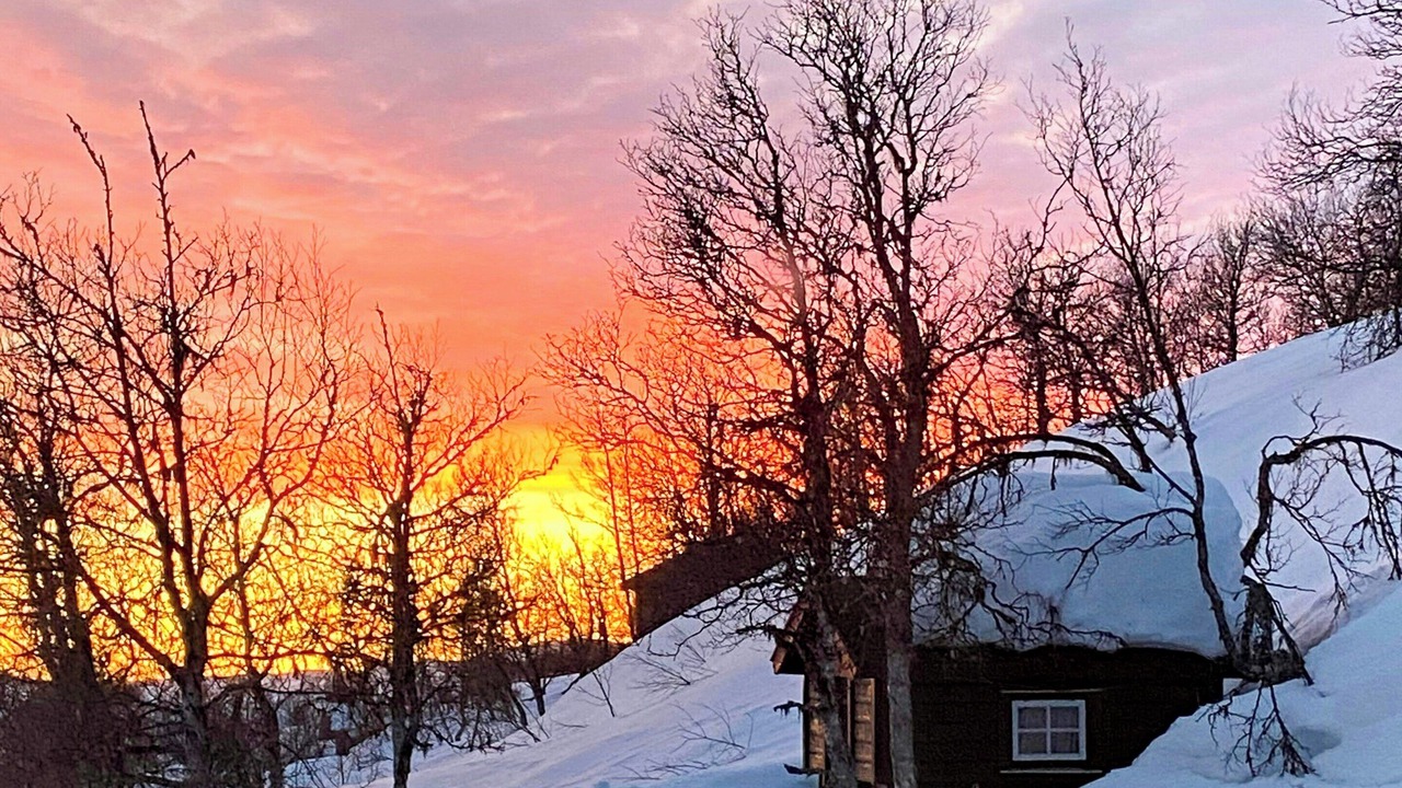 Photo of Outdoor in Al