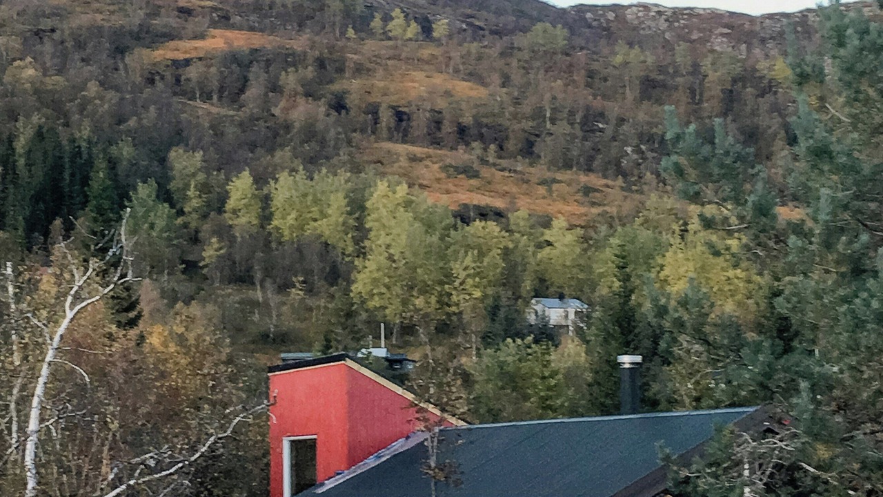 Photo of Outdoor in Kvam