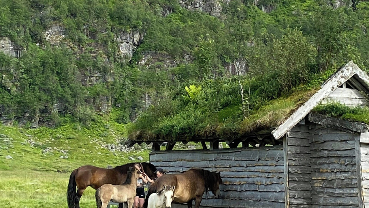 Photo of Others in Kvam