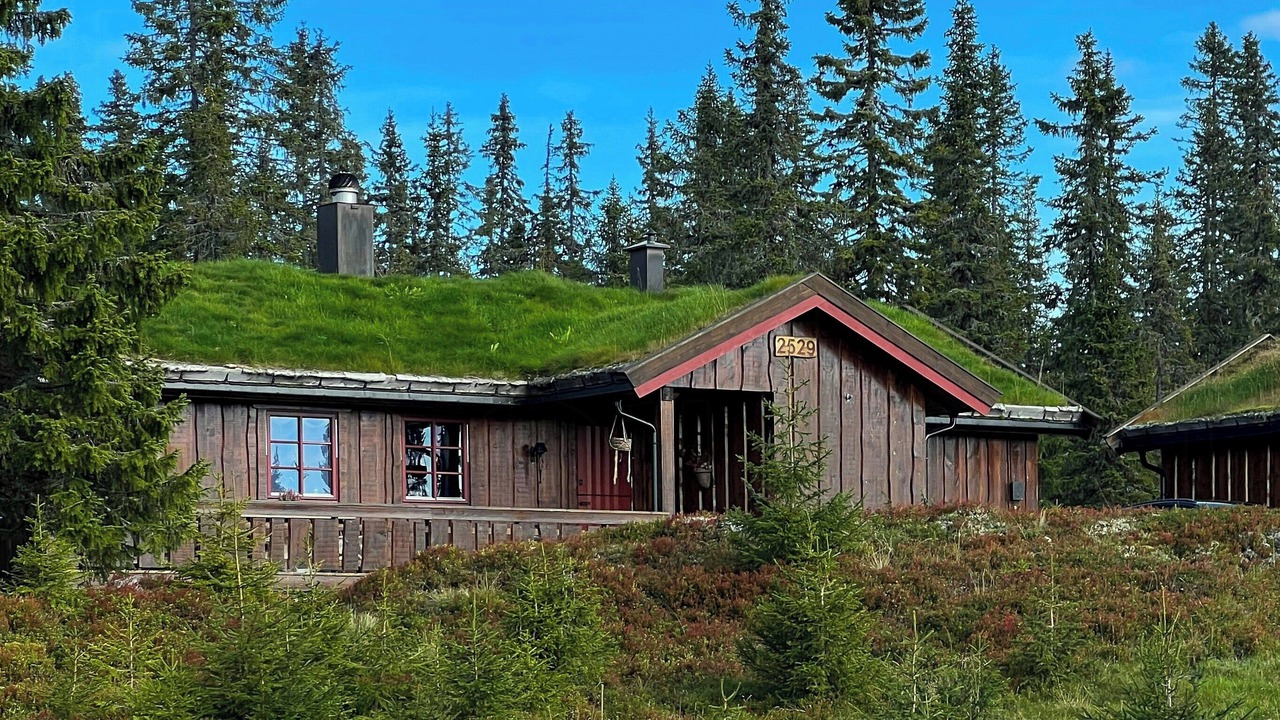 Photo of Outdoor in Sjusjoen