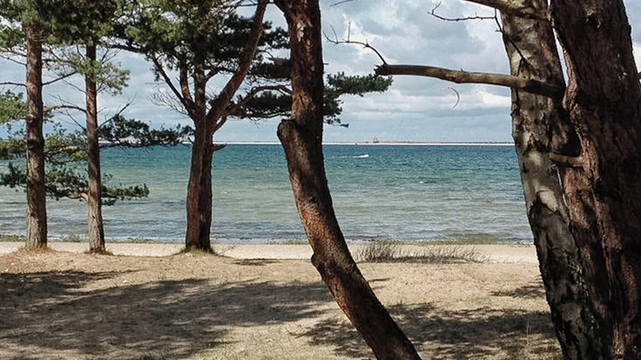 Photo of Others in Faro