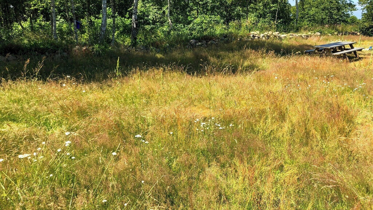 Photo of Outdoor in Lervik
