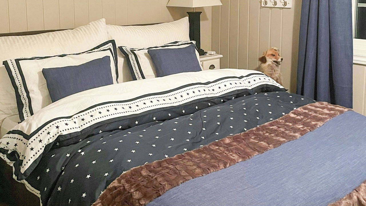 Photo of Bedroom in B