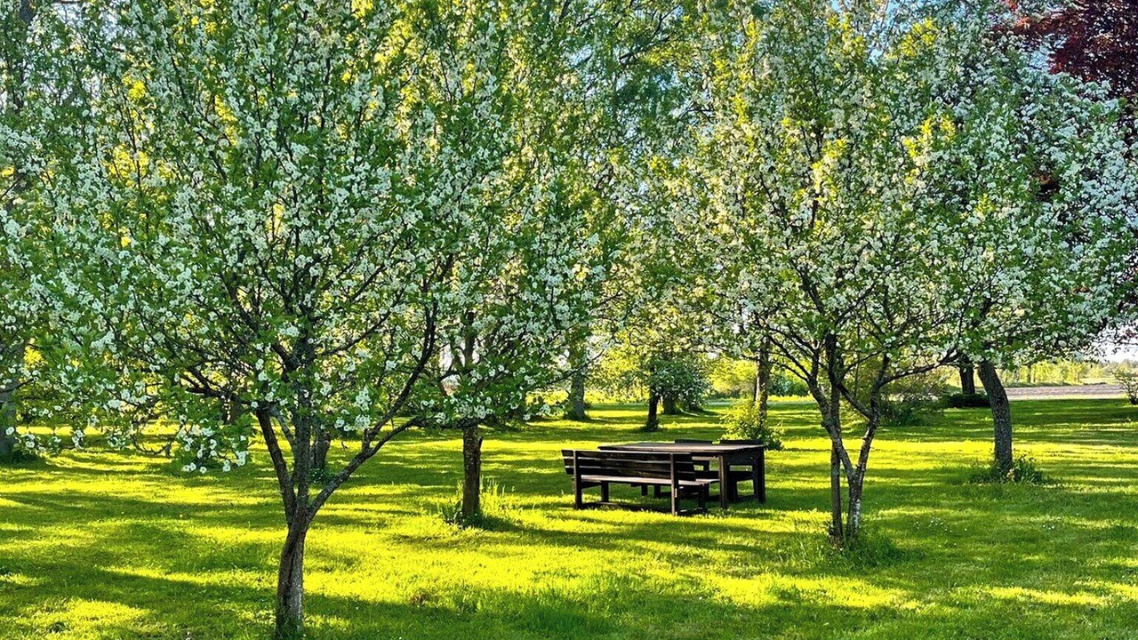 Photo of Outdoor in Nar