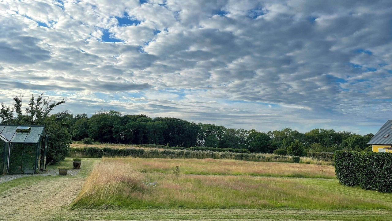 Photo of Outdoor in Arild
