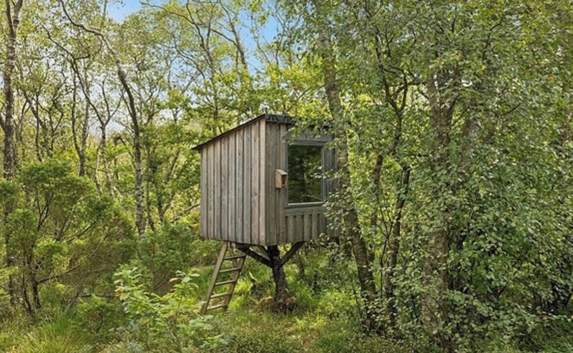 Photo of Outdoor in Spangereid