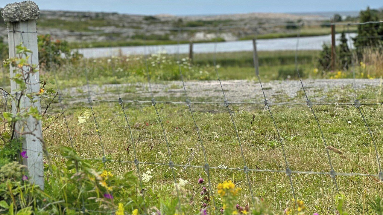 Photo of Others in Hvaler