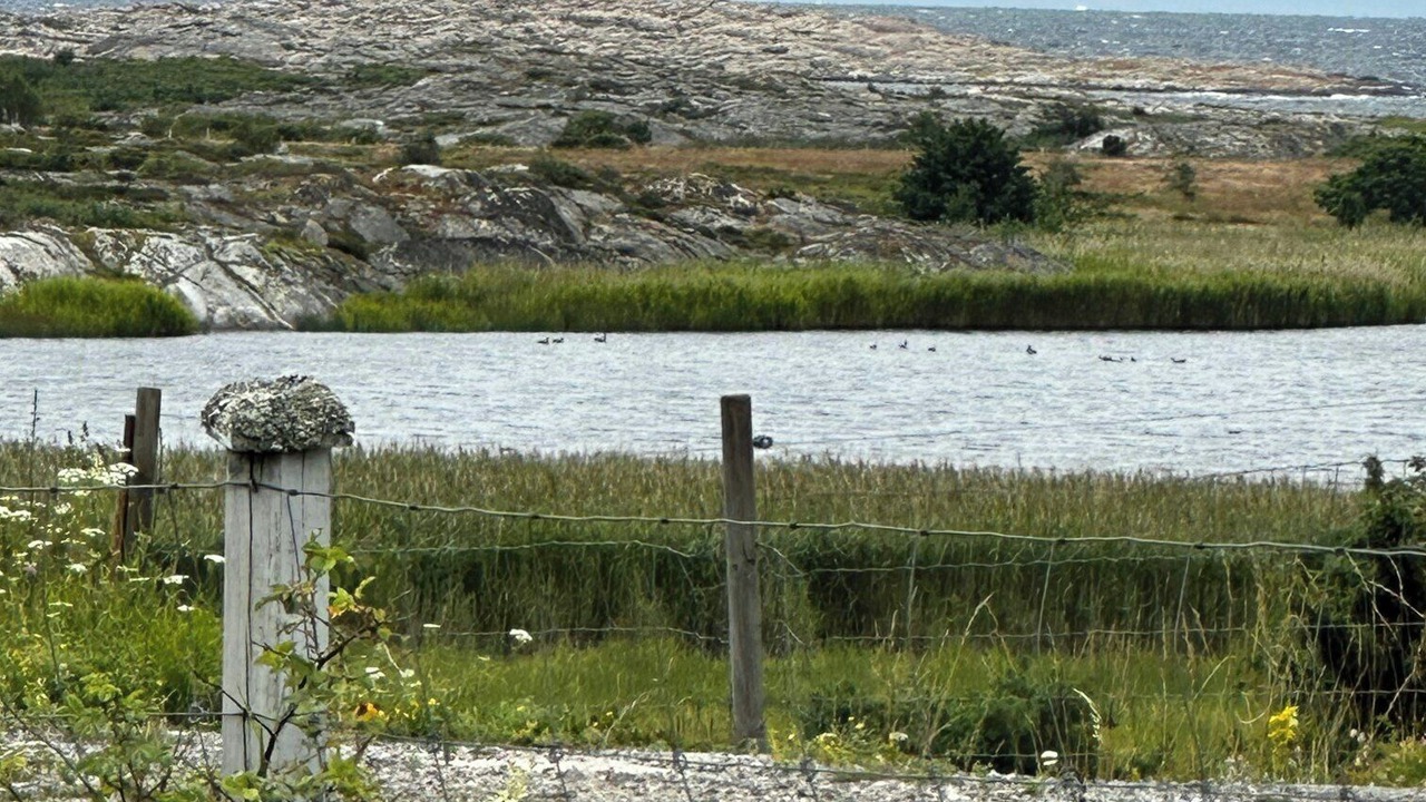 Photo of Others in Hvaler