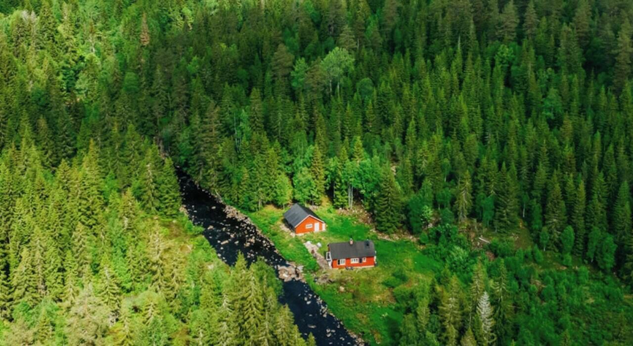 Photo of Outdoor in Lardal Municipality