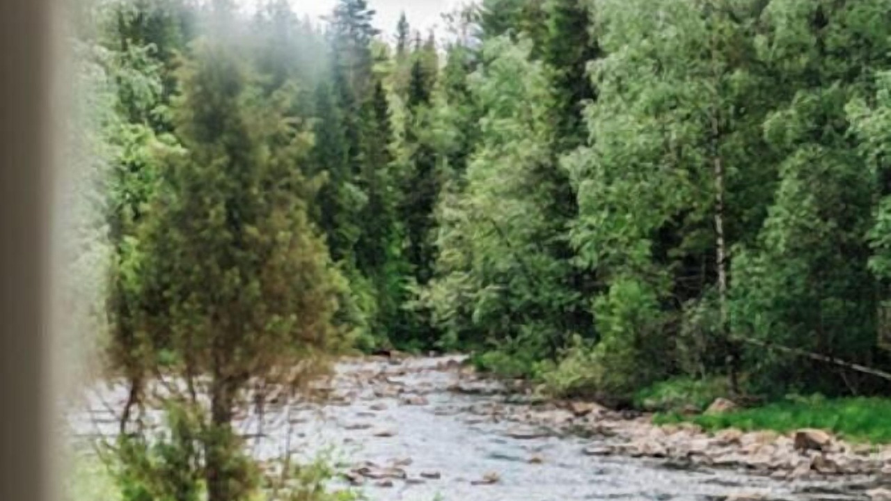 Photo of Others in Lardal Municipality