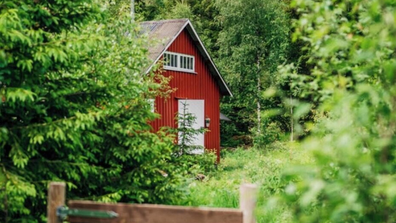 Photo of Outdoor in Lardal Municipality